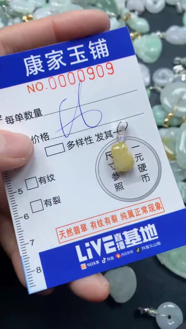 颈饰未镶嵌翡翠909