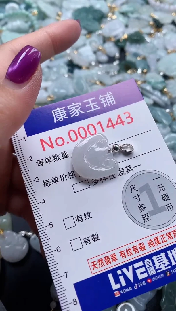 颈饰未镶嵌翡翠1443