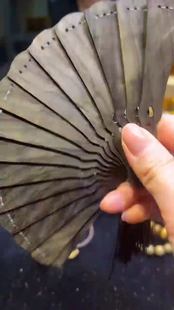 金丝楠    小扇子