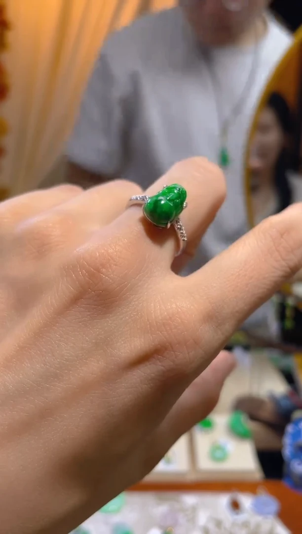 翡翠未镶嵌颈饰貔貅戒指