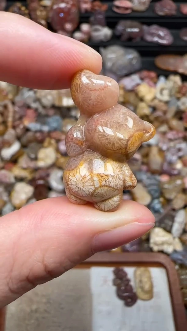 颈饰未镶嵌硅化珊瑚（珊瑚玉）225