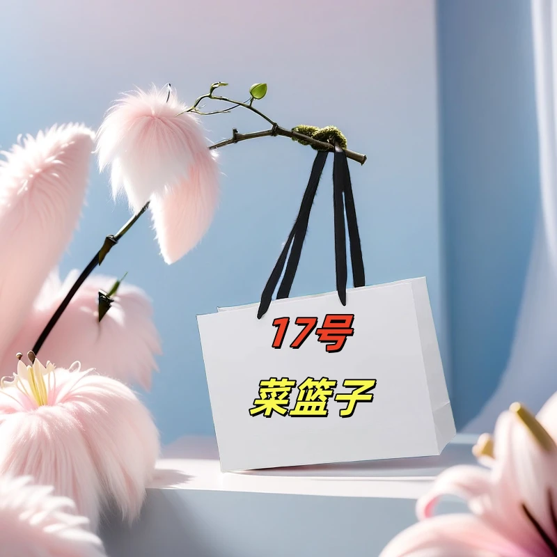 【17号】时尚潮流迷你型手提菜篮子包