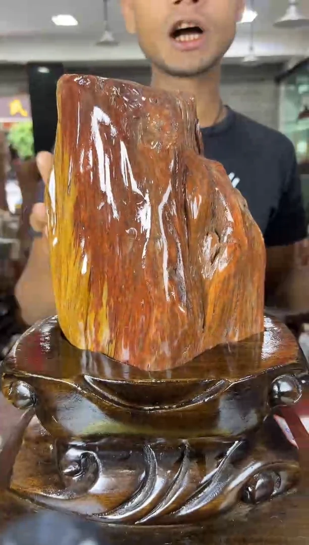 硅化玉珠宝奇石未镶嵌缅甸天然树化玉