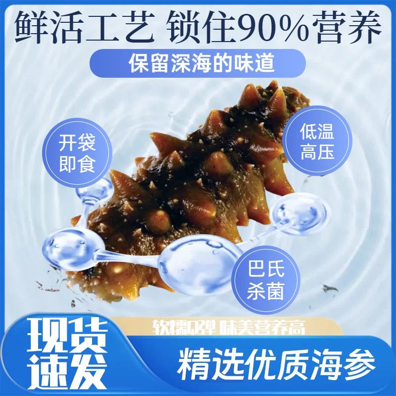 精选优质无盐冷冻解冻大连即食辽参海参鲜食口感Q弹健康速食