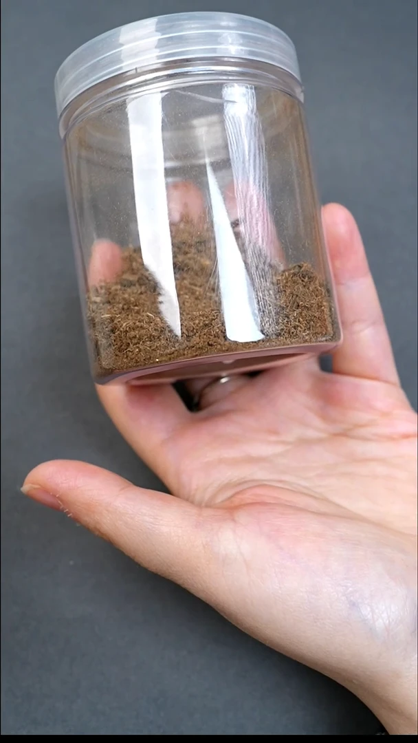 沉香沉香碎屑达拉干沉水帝王香1g