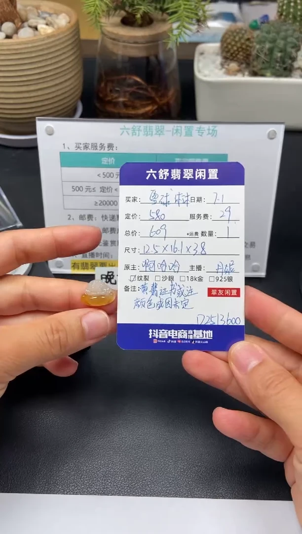 翡翠未镶嵌颈饰雪**沐D2513600