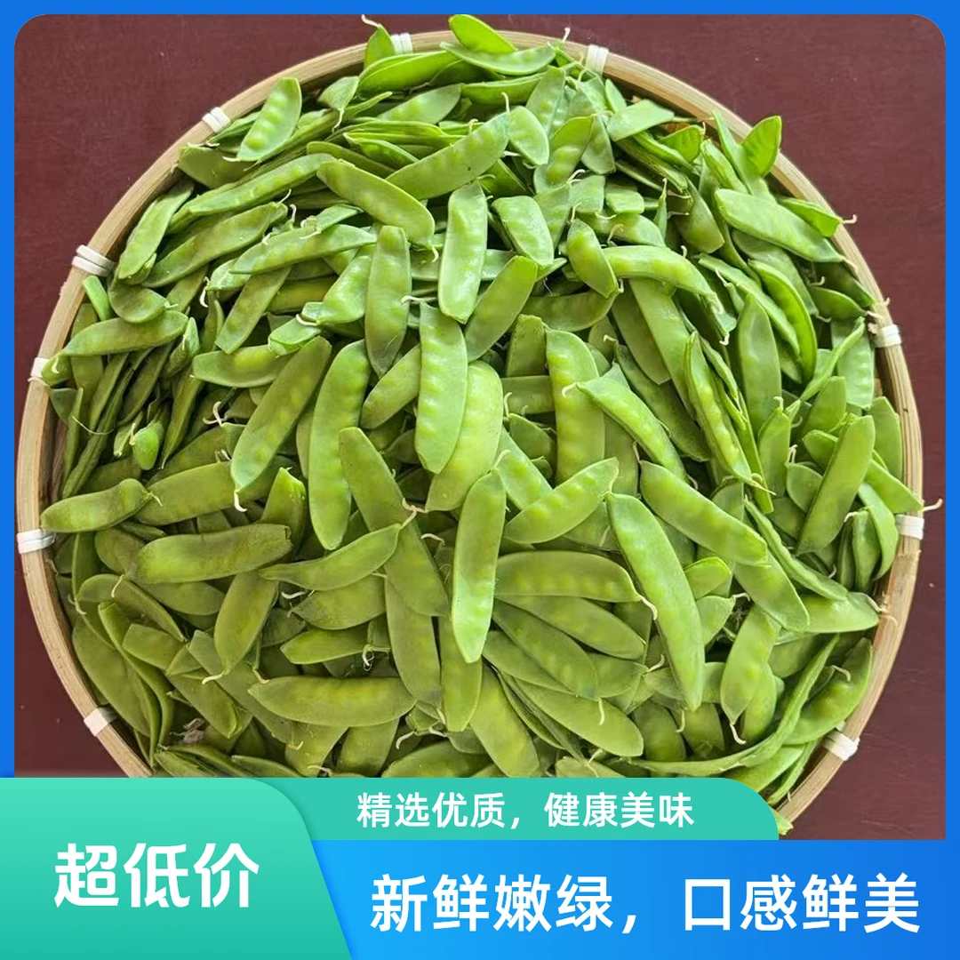 【顺丰】苏北农家露天荷兰豆新鲜美味（1斤-5斤)