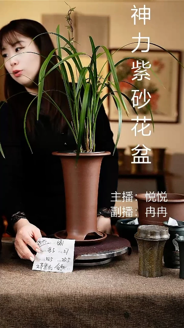 紫砂花盆花卉工艺681+z