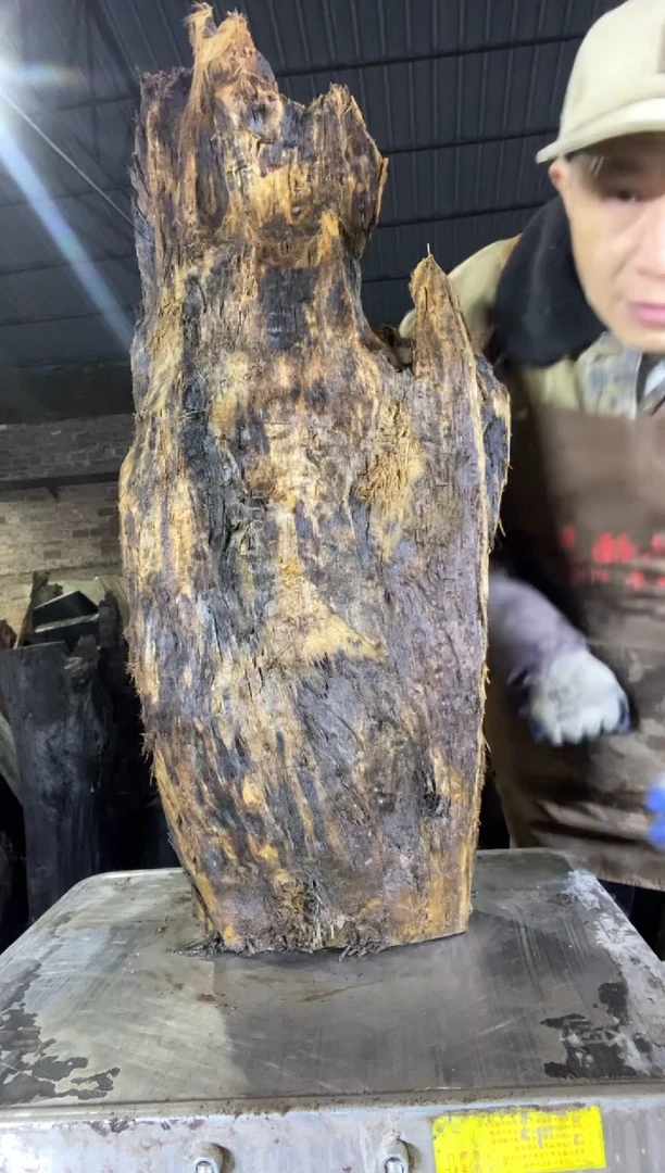 其他楠木（金丝楠）建****部金丝楠小叶桢楠32