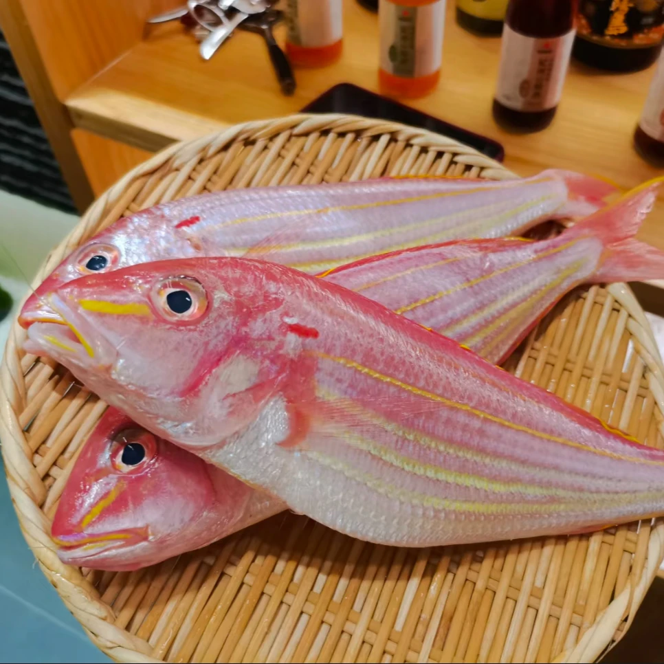 活冻金线鱼