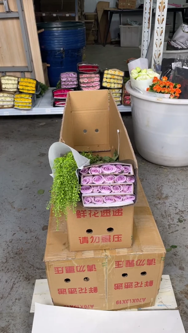 海洋之歌20枝（花苞小）+绿林草1扎