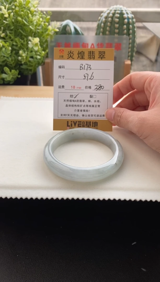 未镶嵌手镯翡翠57.6圈口 编码B173