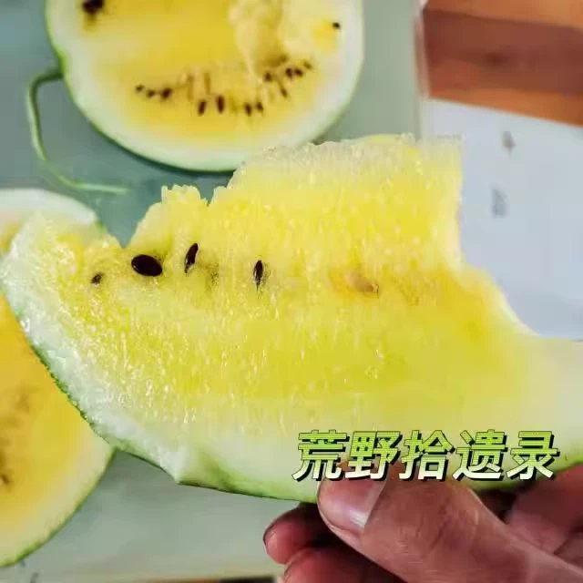 西瓜种子合集 阳台露台 露天家庭园艺种植小菜园传家宝品种29包邮