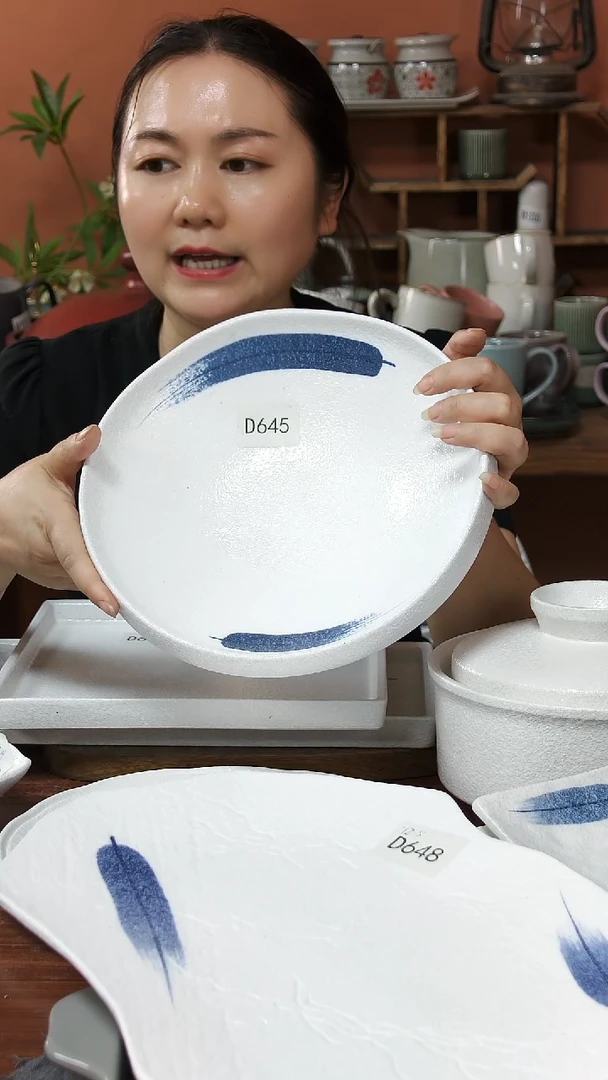 碗D645陶瓷盘一件套微瑕