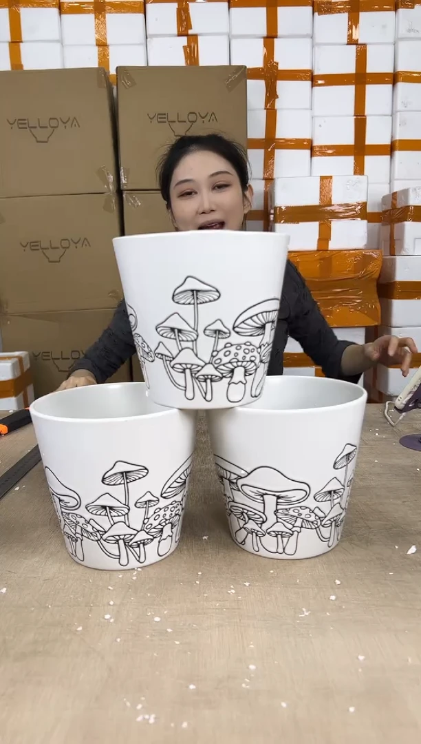 花盆花盆小号12.23--3