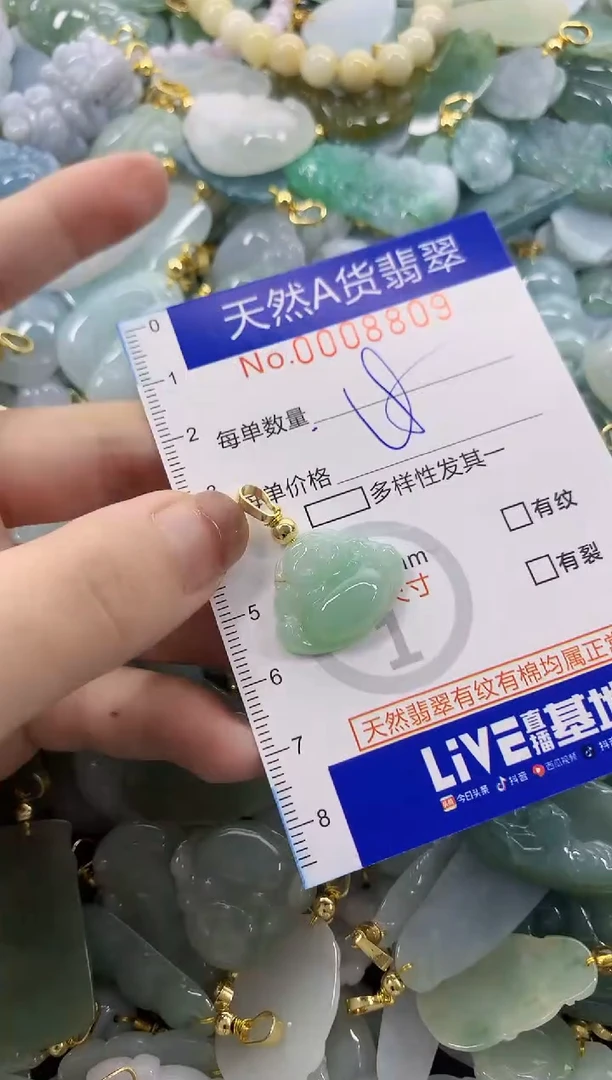颈饰未镶嵌翡翠天然A货翡翠