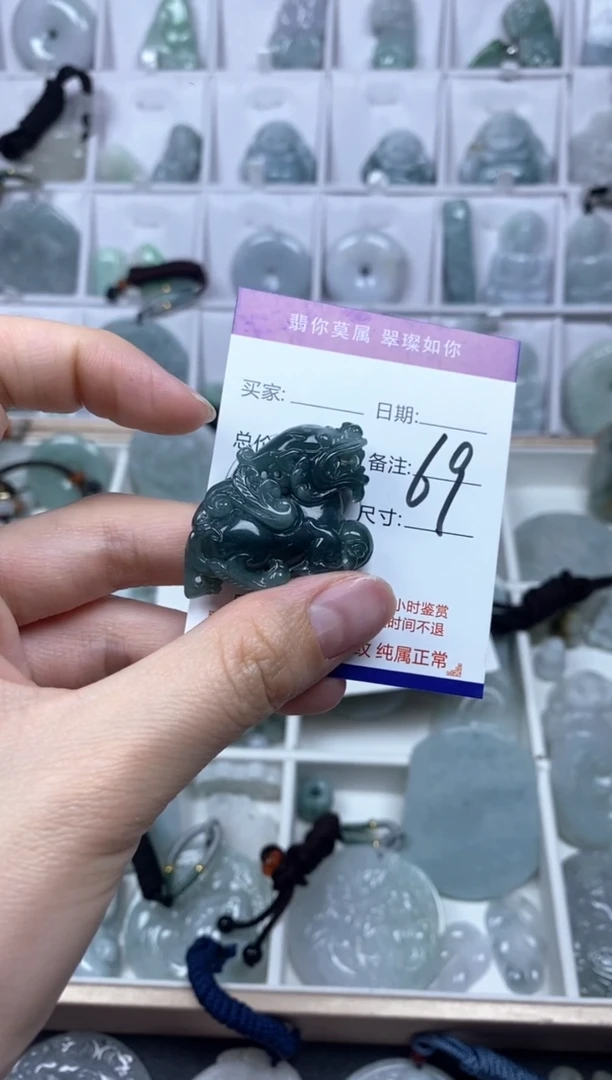 【闪购商品】翡翠颈饰未镶嵌貔貅
