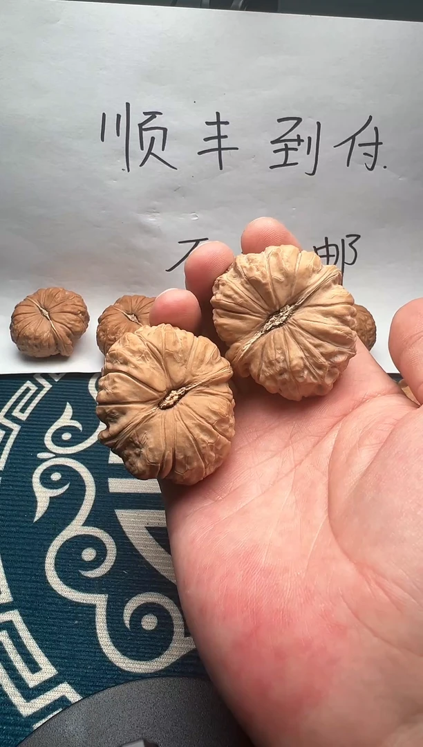 0429-文玩核桃-南瓜墩-C迪