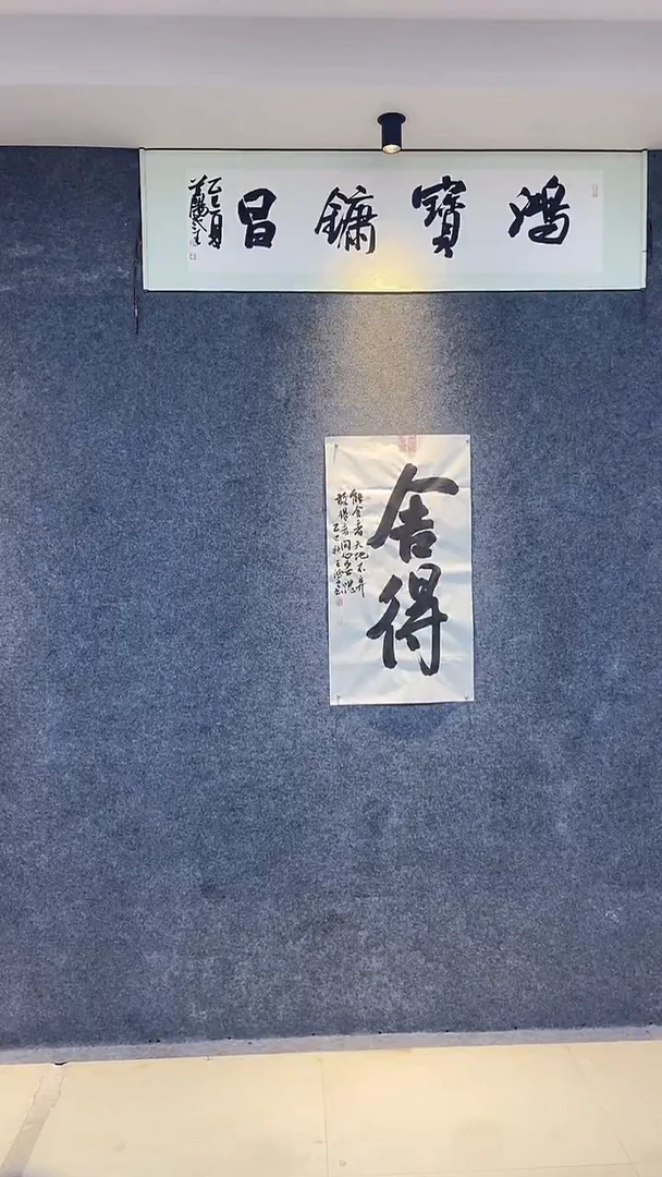 书法行书书法 舍得 王鸿定作品