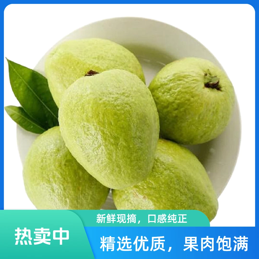 【新疆次日达发京东】奶油芭乐新疆维吾尔自治区