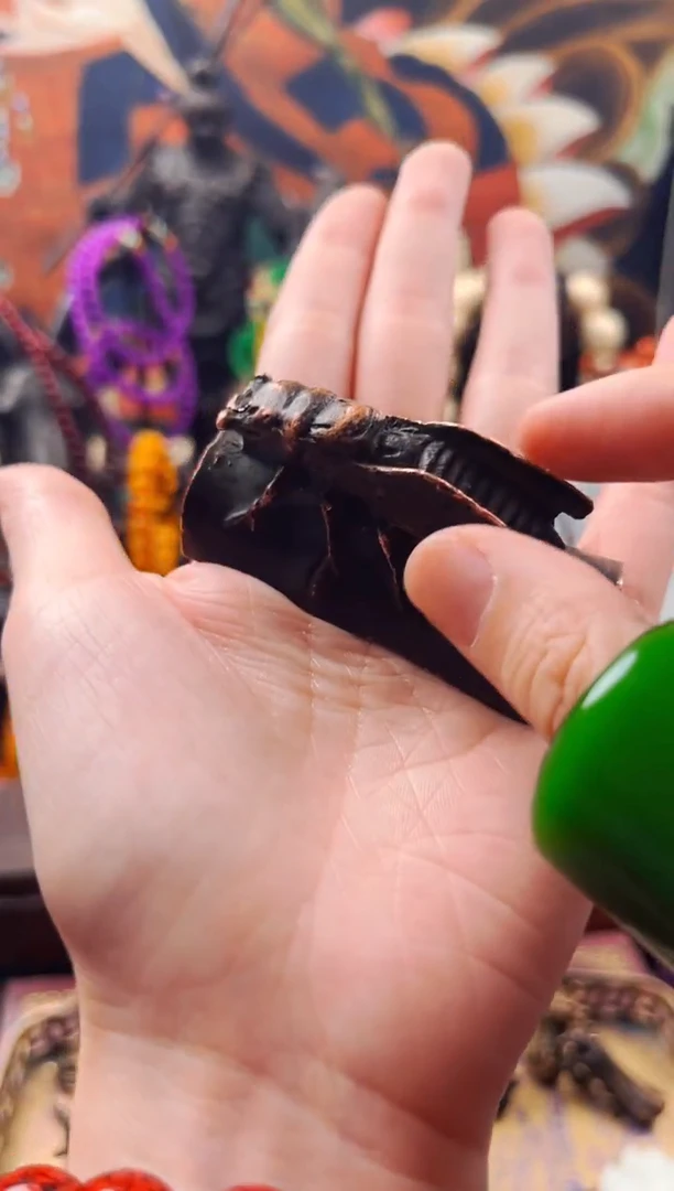 【闪购商品】飞姐精品专属推荐13