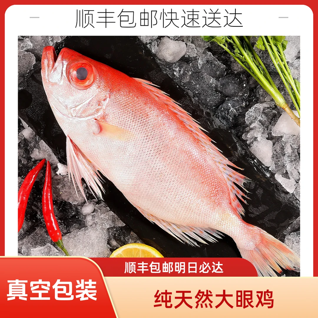 随单发货 纯天然大眼鸡2条