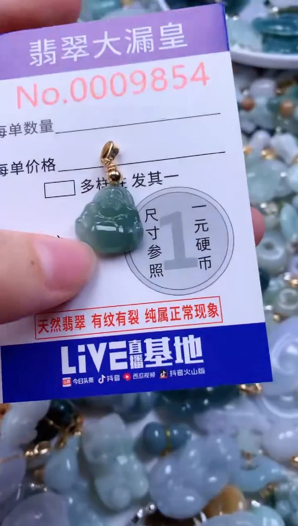 翡翠未镶嵌吊坠(不含链)9854