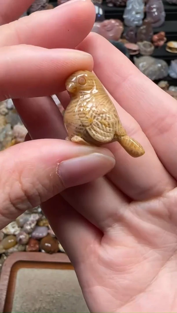 颈饰未镶嵌硅化珊瑚（珊瑚玉）514