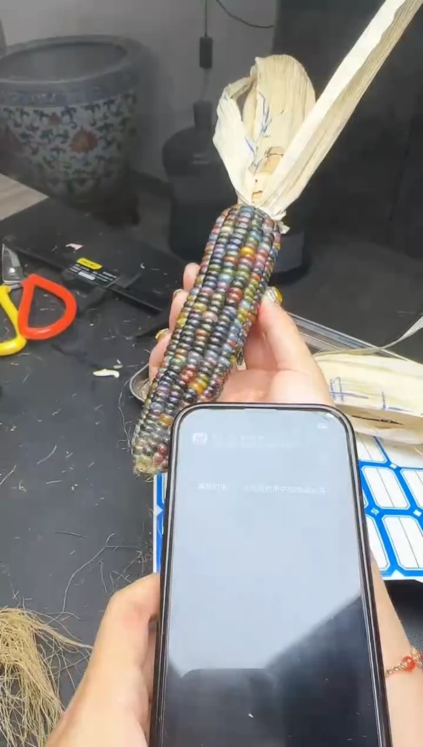 【闪购商品】哈哈哈哈哈哈哈哈哈