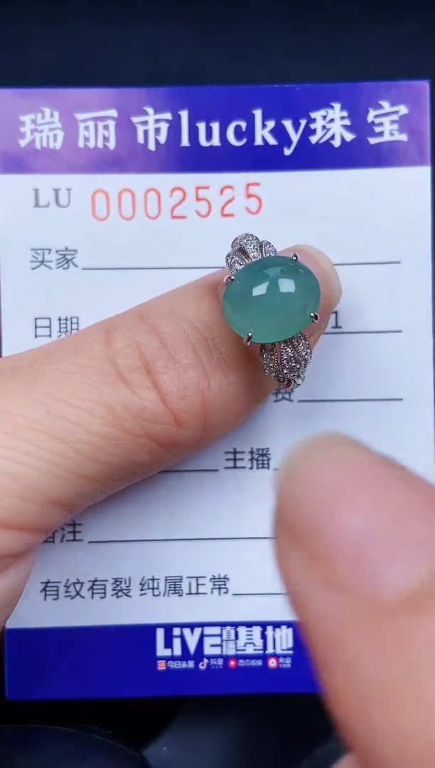 翡翠银S925镶嵌颈饰2525