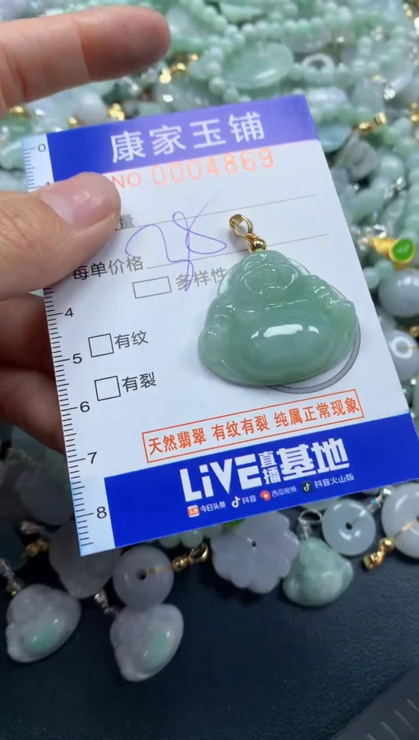 颈饰未镶嵌翡翠4869