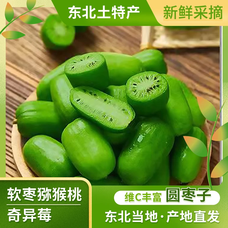 【软枣子】东北特产软枣猕猴桃奇异莓圆枣子狗枣子小猕猴桃2斤顺丰