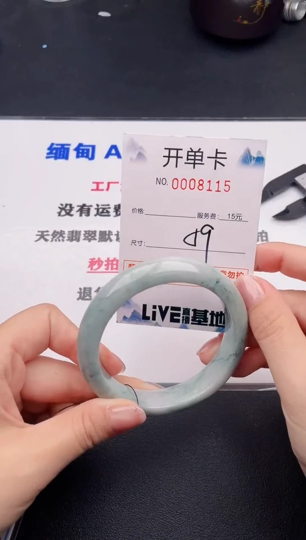 未镶嵌手镯翡翠15