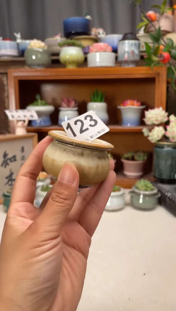 瓷片123知木小芳花盆编号