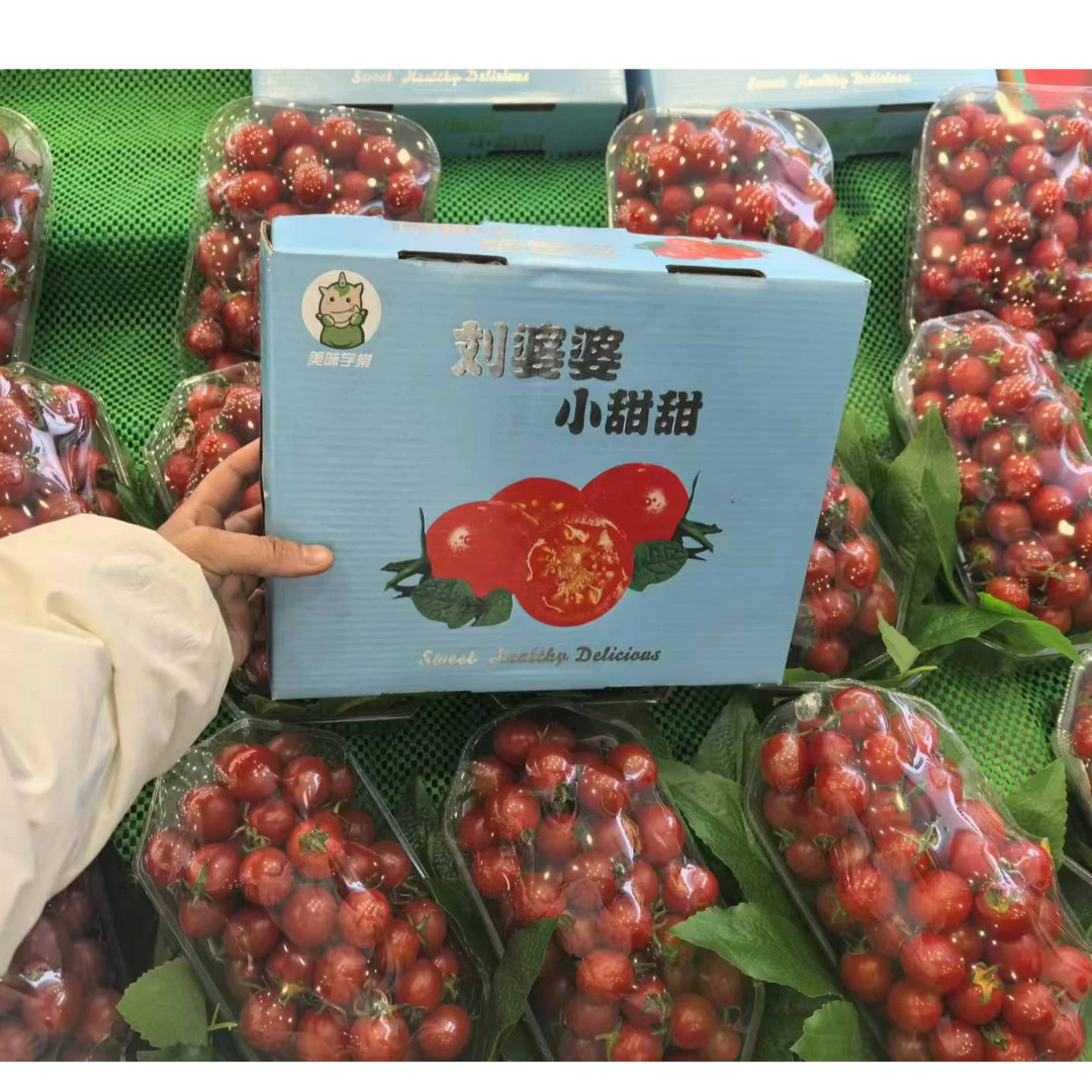 〖外卖〗千禧小番茄1斤番茄同城配番茄广东省