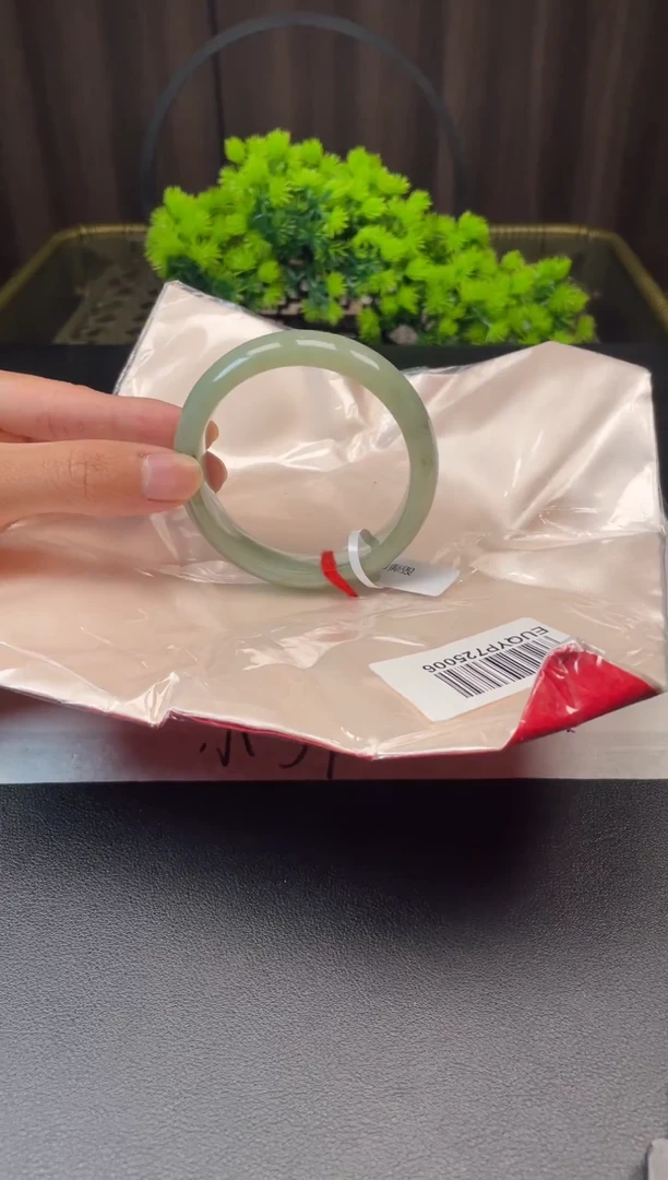 未镶嵌手镯翡翠598