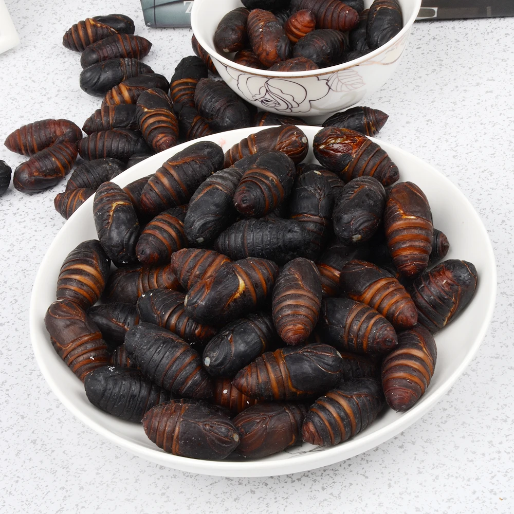 东北特产鲜活茧蛹（蚕蛹）