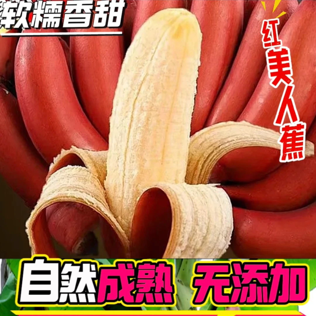 《广西红美人蕉》A红美人香蕉2-5斤红皮应季时令新鲜水果咖啡蕉