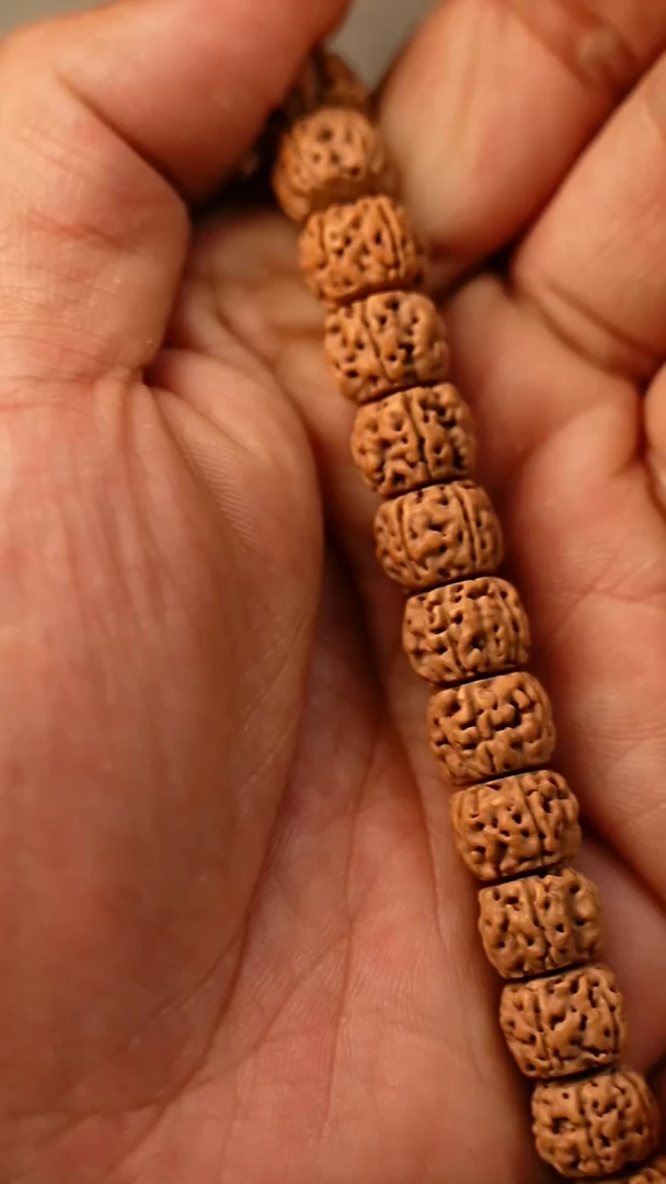 手串金刚菩提烟**南S10烛龙单圈