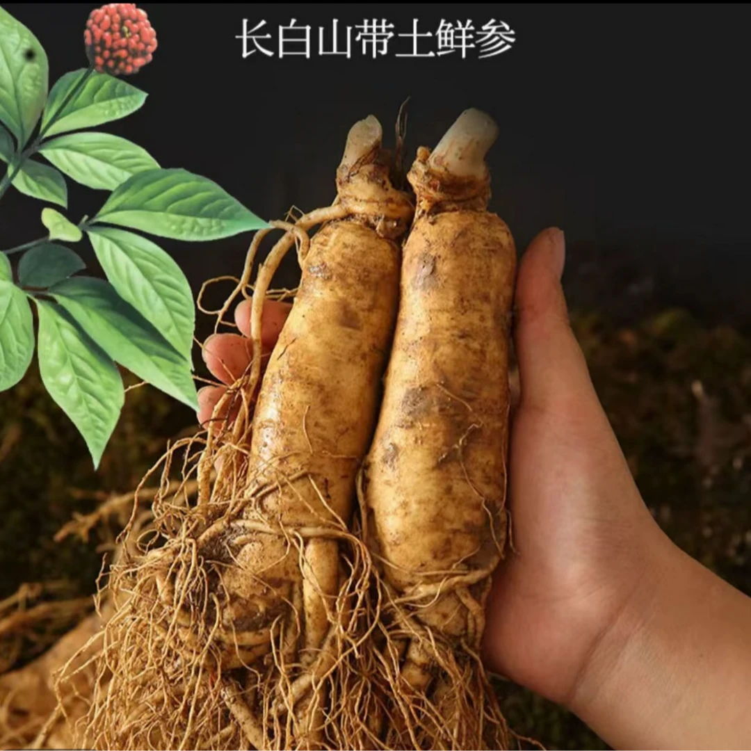 [福利]长白山人参老参单支60-80克一斤5-8支泡酒送礼佳品