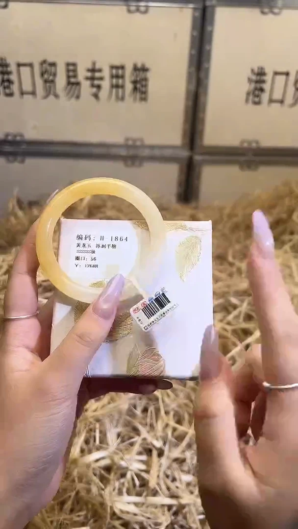 未镶嵌手镯石英质玉H1864