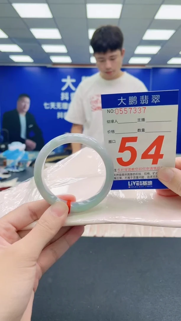 未镶嵌手镯翡翠AAAAAAAAA