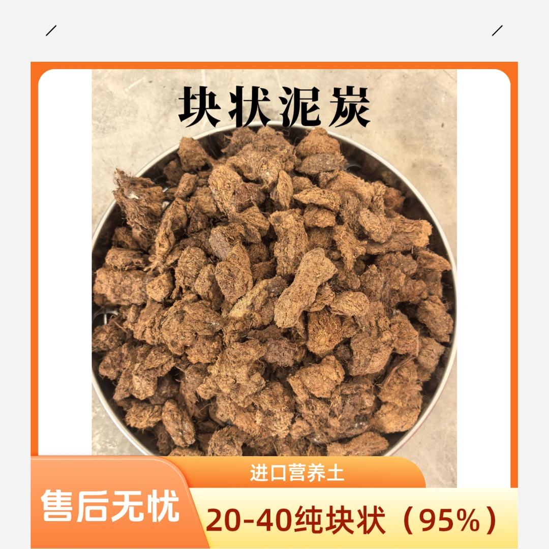 美农进口泥炭人工精挑纯大块状泥炭（20-40）兰花专用土天南星科类