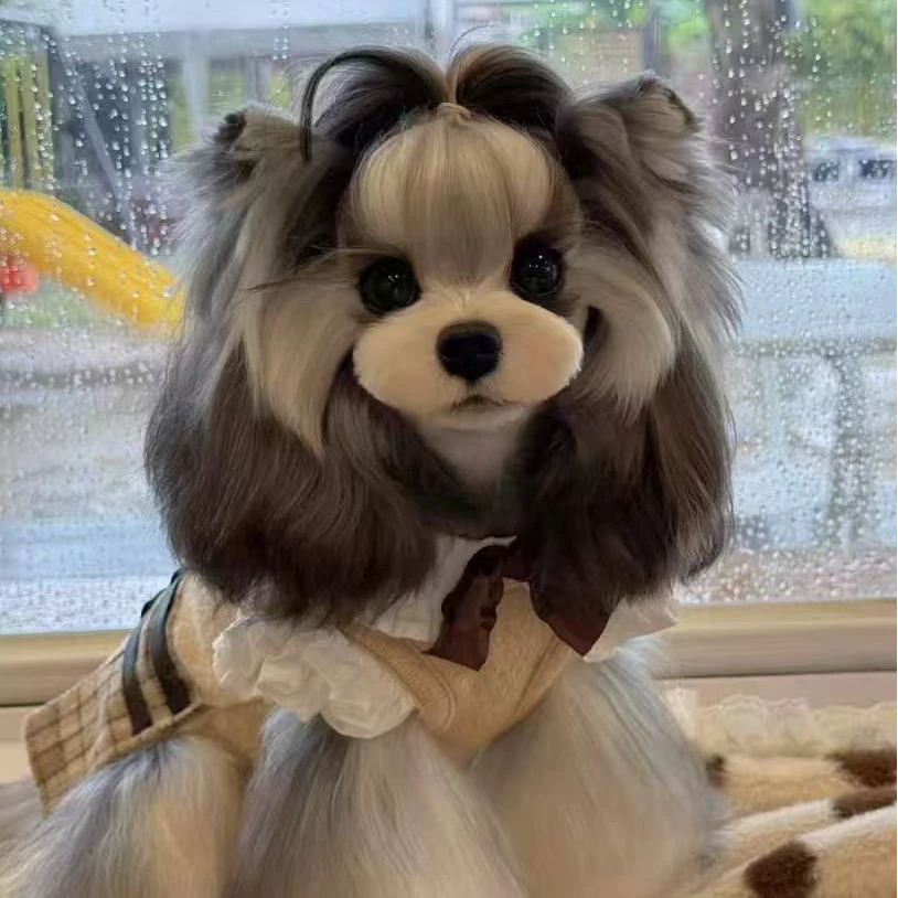 【元宝家的雪纳瑞B】宠物活体幼体雪纳瑞小狗萌犬