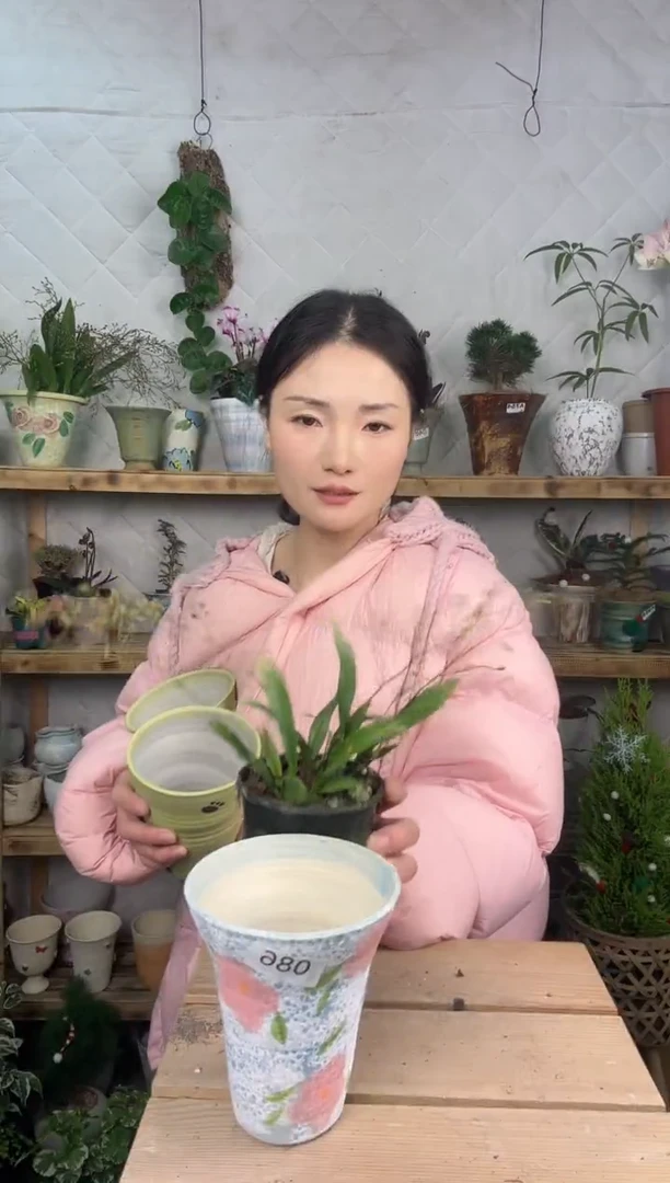 无花朵编号 086 景德镇手工花盆   口12x14