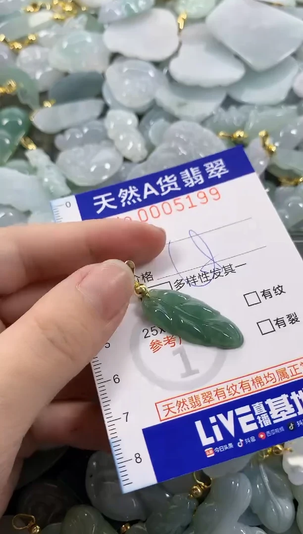 颈饰未镶嵌翡翠天然A货翡翠