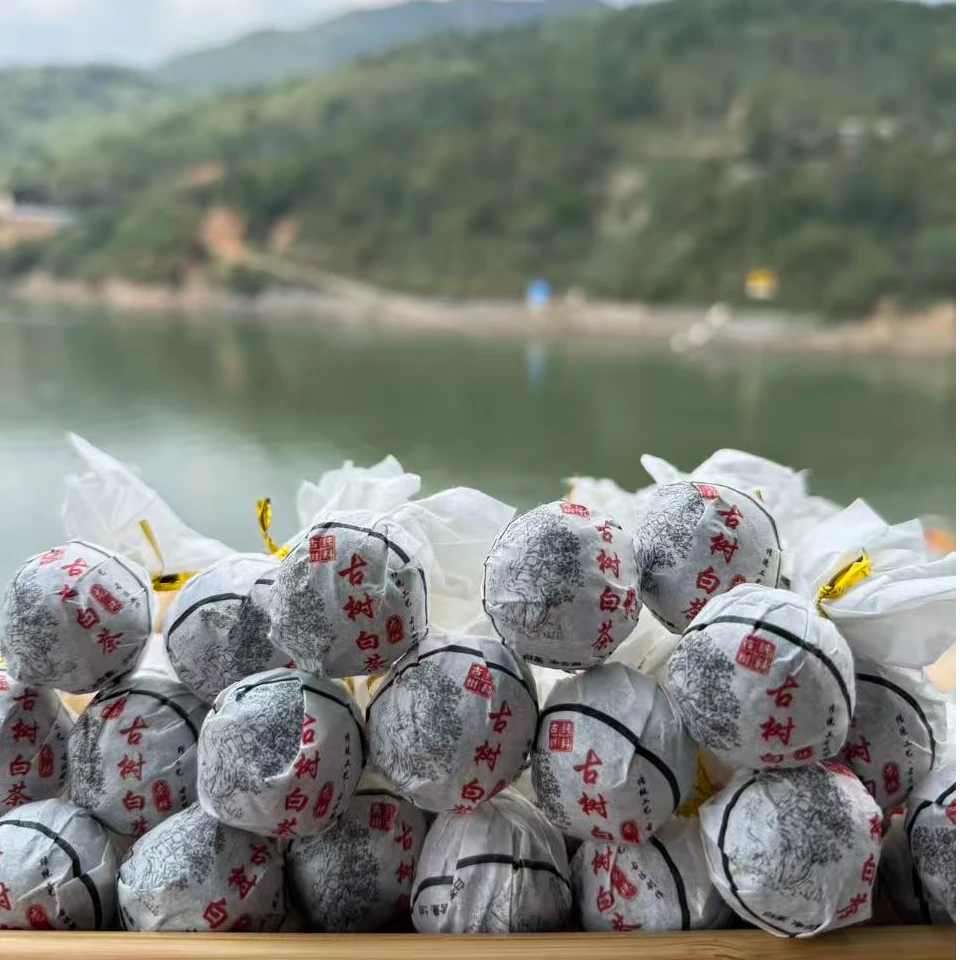 【云南老罗普洱茶】昔归2025年古树白茶龙珠茶8克/颗