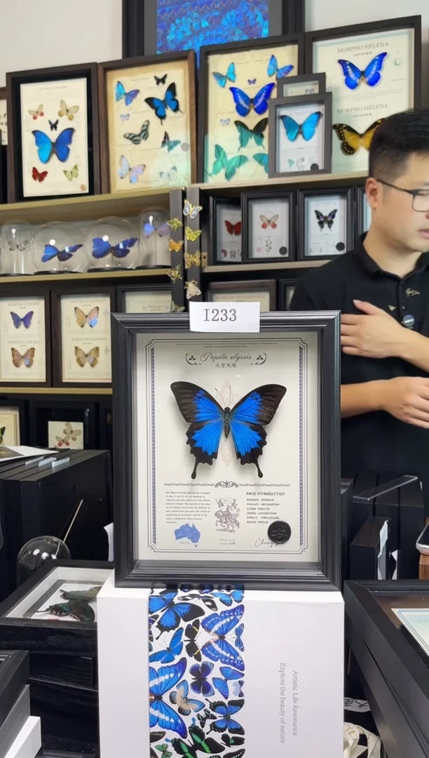 【福利】天堂凤蝶 10寸艺术款 i233