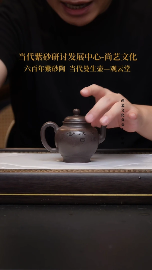 茶壶紫砂宜兴紫砂 紫砂壶 FWH 宫灯 老料天青