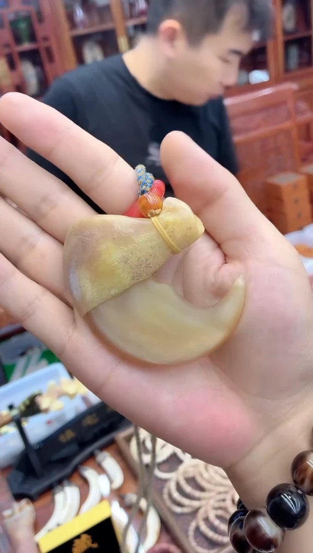 猛犸猛犸++++++59